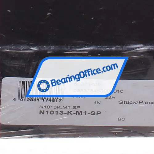 FAG N1013-K-M1-SP bearing image 2