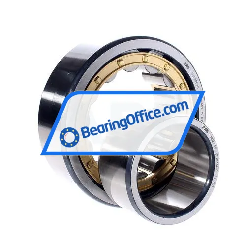 FAG NU2317E-M1 bearing image 2