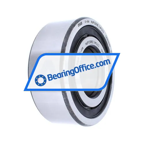 FAG NUP2309-E-TVP2-C3