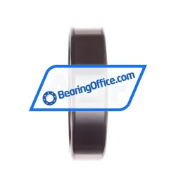 FAG N310E-TVP2 rulman resim 4