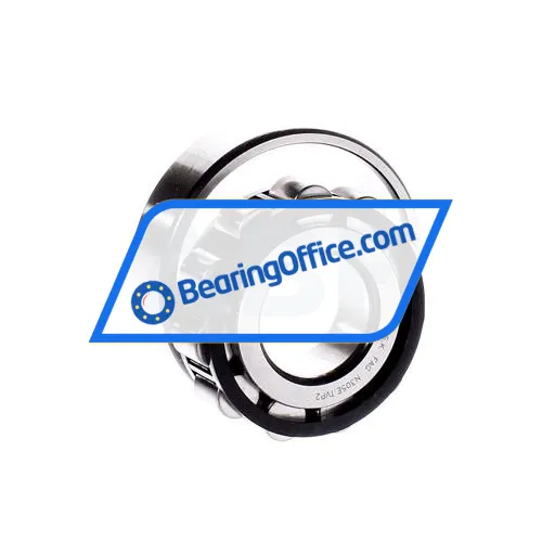 FAG N305E-TVP2 bearing image 2