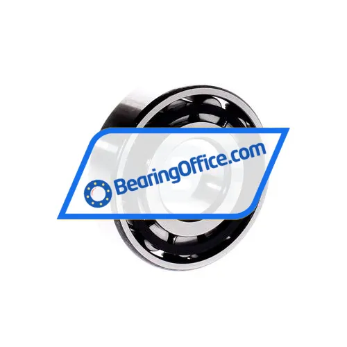 FAG N305E-TVP2 bearing image 3