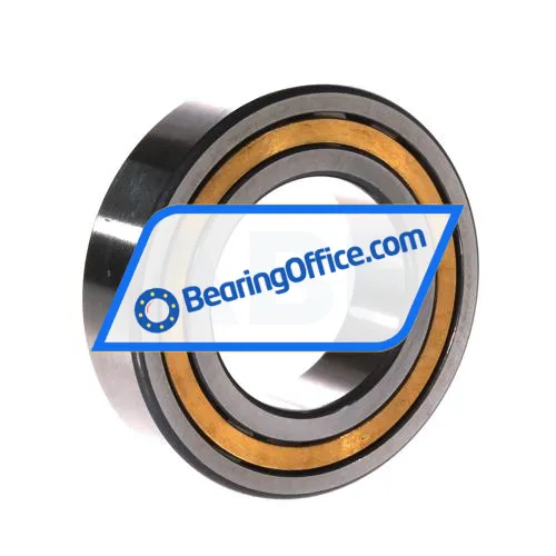 FAG NJ2210-E-XL-M1 bearing image 2