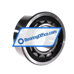 FAG NJ2315-E-TVP2-QP51-C4