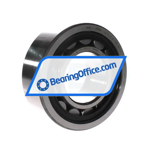 FAG NJ2315-E-TVP2-C4-QP51