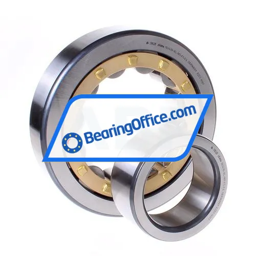 FAG NU418-XL-M1-F1-C4 bearing image 2