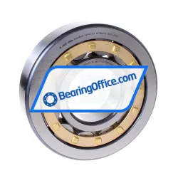 FAG NU418-XL-M1-F1-C4