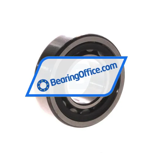 FAG NU205-E-TVP2-C4 bearing image 2