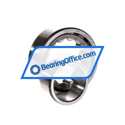 FAG NU2207E-JP1 rulman resim 3