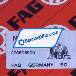 FAG N213E-TVP2 rulman resim 7