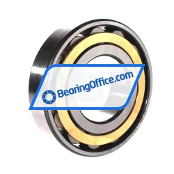 FAG N316-E-XL-M1 rulman resim 2