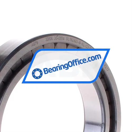 INA SL182920-B-XL-C3 bearing image 2