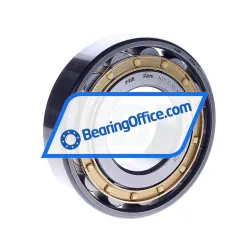 FAG N311-E-XL-M1-P6-C3