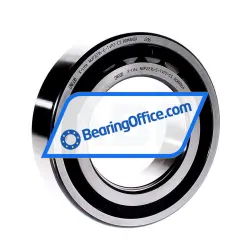 FAG NUP2216-E-TVP2-C3