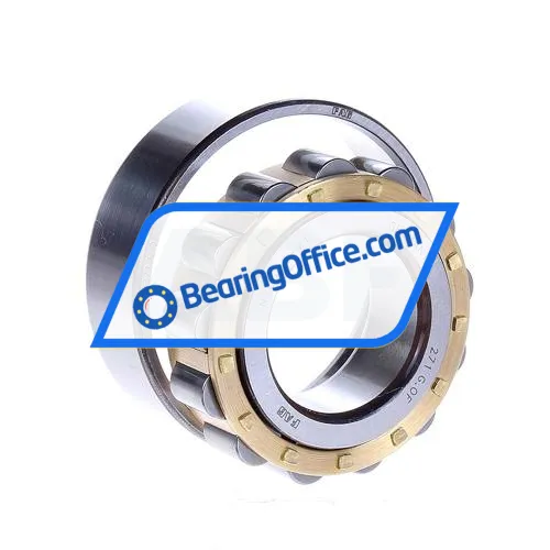 FAG N205-E-M1 bearing image 2