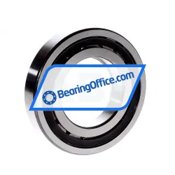 FAG NUP213-E-TVP2 rulman resim 3