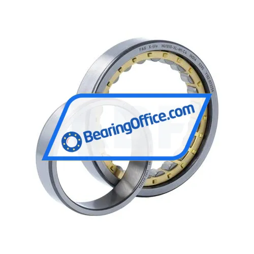 FAG NU1010-XL-M1-C4 bearing image 3
