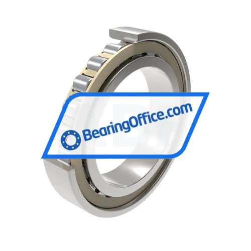 FAG N1011-K-PVPA1-SP bearing image 4
