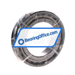 FAG N1011-K-PVPA1-SP