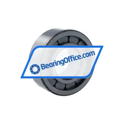 INA ZSL192310-BIR-C4 rulman resim 2