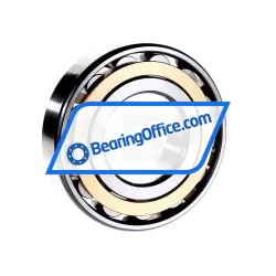 FAG N313-E-M1 rulman resim 3