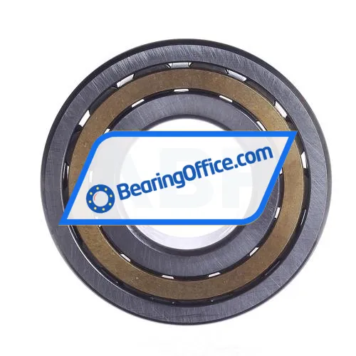 FAG NJ309-E-M1 bearing image 3