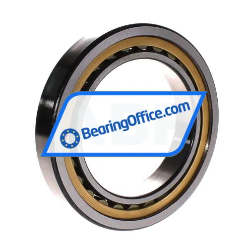 FAG NU1021M1A-C4 bearing image 2