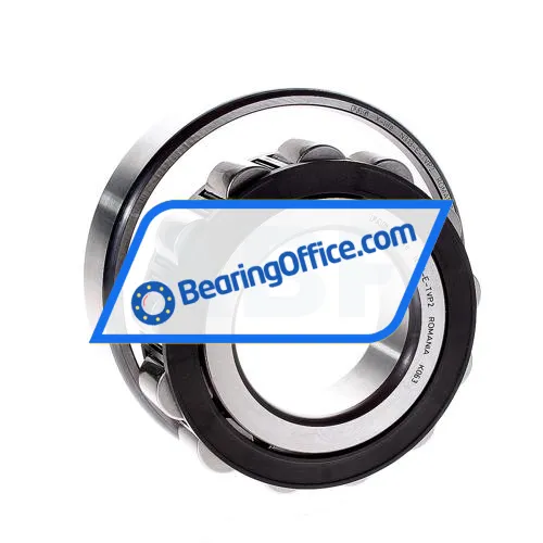 FAG N313E-TVP2 bearing image 2