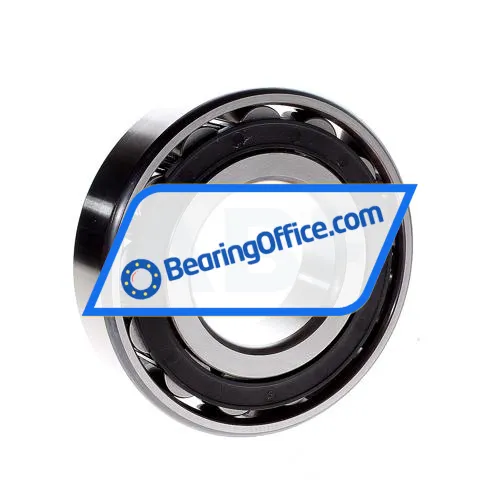 FAG N313E-TVP2 bearing image 3