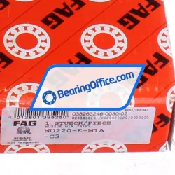 FAG NU220E-M1A-C3 rulman resim 6