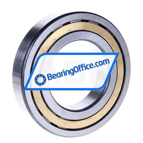 FAG NJ213E-M1-C3 bearing image 2