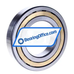 FAG NJ213E-M1-C3 rulman resim 2