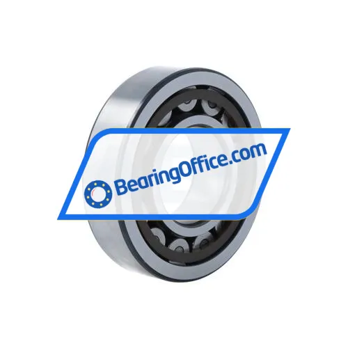 SKF NJ309ECP/C4 bearing image 2