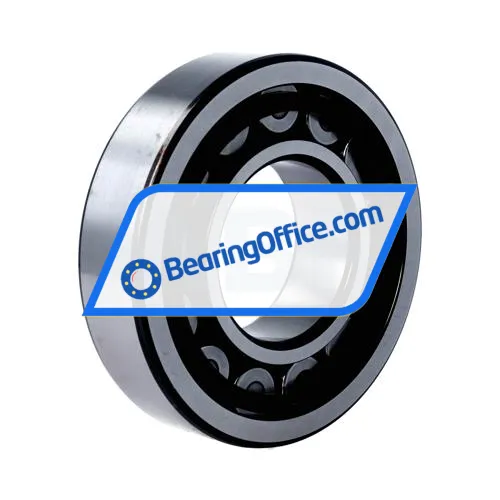 SKF NJ311ECP/C4VQ015 bearing image 2