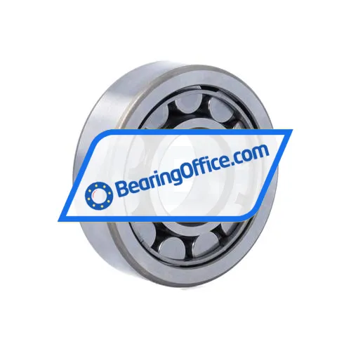 SKF NJ305ECJ bearing image 2