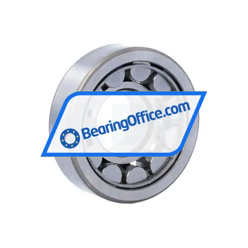 SKF NJ305ECJ bearing image 3