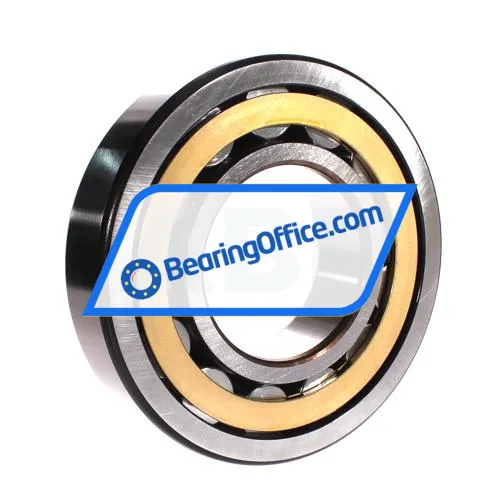 SKF NJ320ECM/C4VA301 bearing image 2