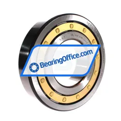 SKF NJ320ECM/C4VA301