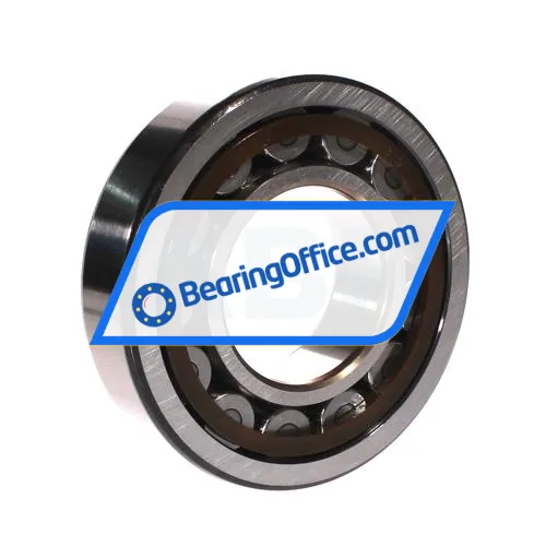 SKF NJ313ECP/C4VQ015 bearing image 3