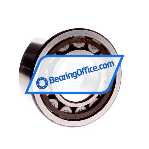 SKF NJ2311ECP/C4 bearing image 3