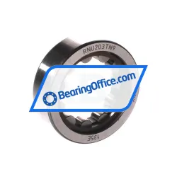 SKF RNU203TN9