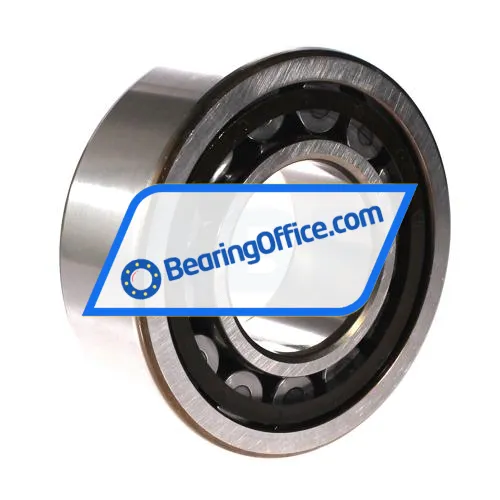 SKF NJ2313ECP/C4 bearing image 2