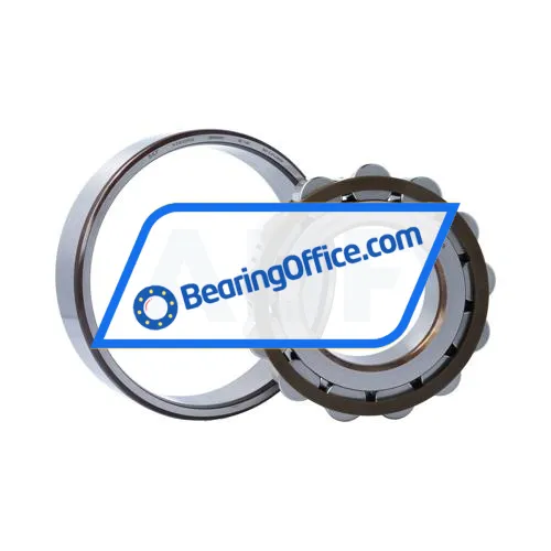 SKF N318ECP/C3 bearing image 2