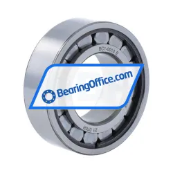 SKF BC1-0013E