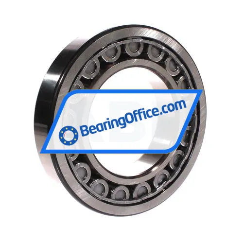 SKF NJ220ECJ bearing image 2