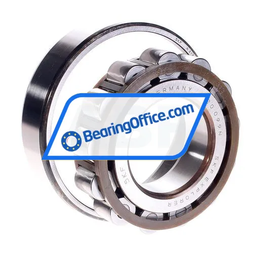 SKF N313ECP/C3 bearing image 2