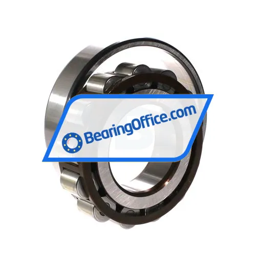 SKF N313ECP bearing image 3