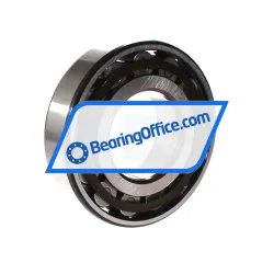 SKF N313ECP rulman resim 2