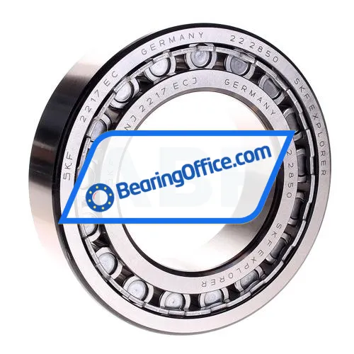 SKF NJ2217ECJ