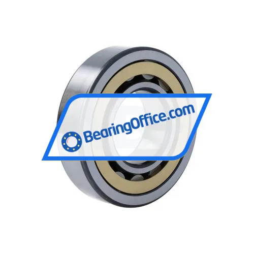 SKF NJ310ECM bearing image 2